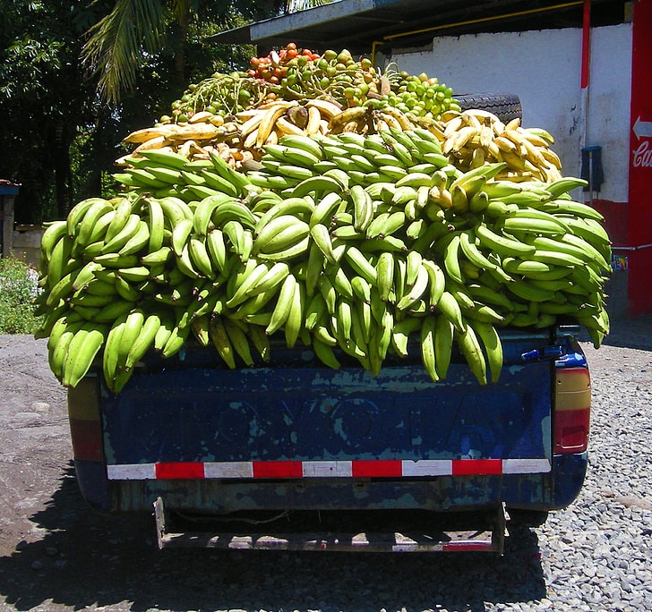 banana, plantain, truck, panama, food, fruit, yellow