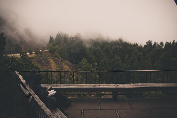 bench, break, foggy, nature, observation deck, reading, relaxing