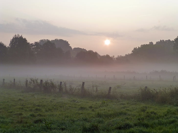 Осінній ранок, туман, світло назад, пасти, Схід сонця, Нідерхайн, вологість