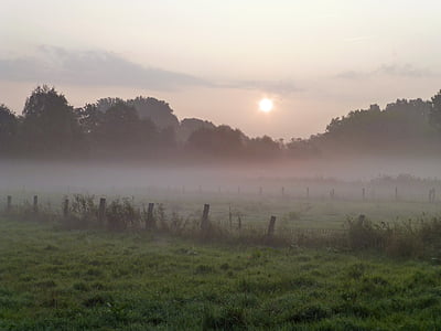 manhã de outono, nevoeiro, luz de volta, pastar, nascer do sol, Niederrhein, umidade
