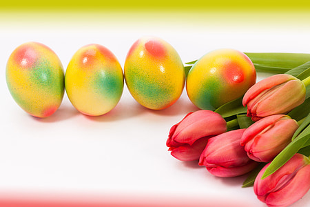 复活节彩蛋, 鸡蛋, 春天, frühlingsanfang, 春的觉醒, 复活节, 花