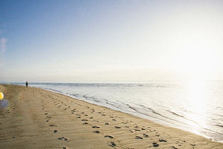 Laki-laki, berjalan, samping, laut, Siang hari, Pantai, laut