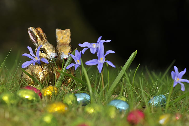 Veľkonočné, Zajac, veľkonočné vajíčka, tráva, jar, Gold, Veľkonočný zajačik