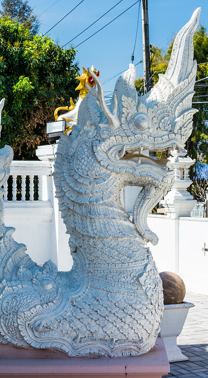 draghi, bianco, complesso del tempio, Tempio, Nord della Thailandia, Thailandia, Buddismo