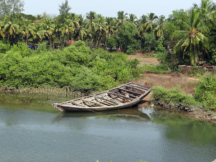 国のボート, 干潟, ココナッツの木立, インド, 風景, 荒野, 風景