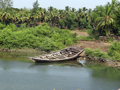 země loď, přílivová creek, kokosové háje, Indie, krajina, Divočina, scenérie