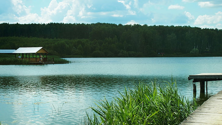 chizhkovskoe jezero, ruske prirode, krajolik