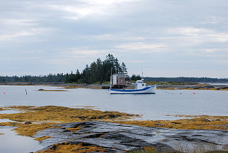 Nova scotia, bateau, pêche, Hut, eau, océan, Canada