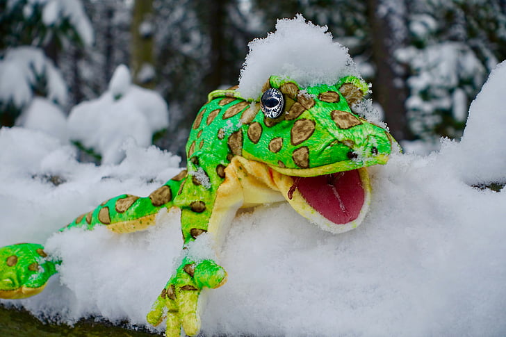 puppet, snow, frog, cute, symbol, funny, cartoon