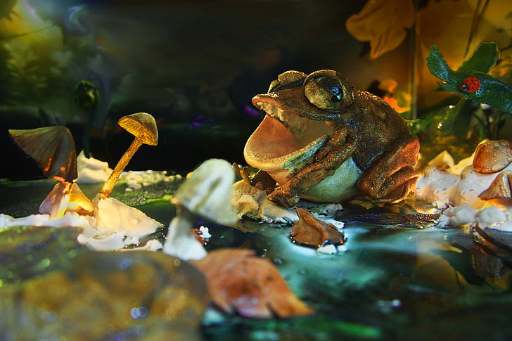 leather, frog, dark
