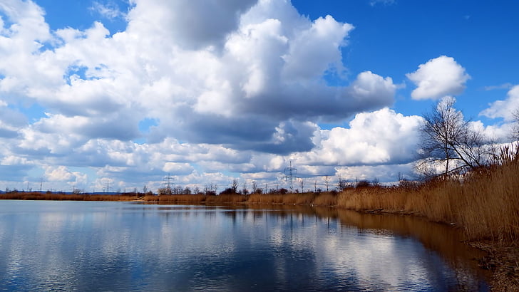 đám mây, mây tích, Reed, Lake, phản ánh, nước, bầu trời