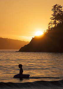 puesta de sol, silueta, de surf, naturaleza, verano, persona, chico