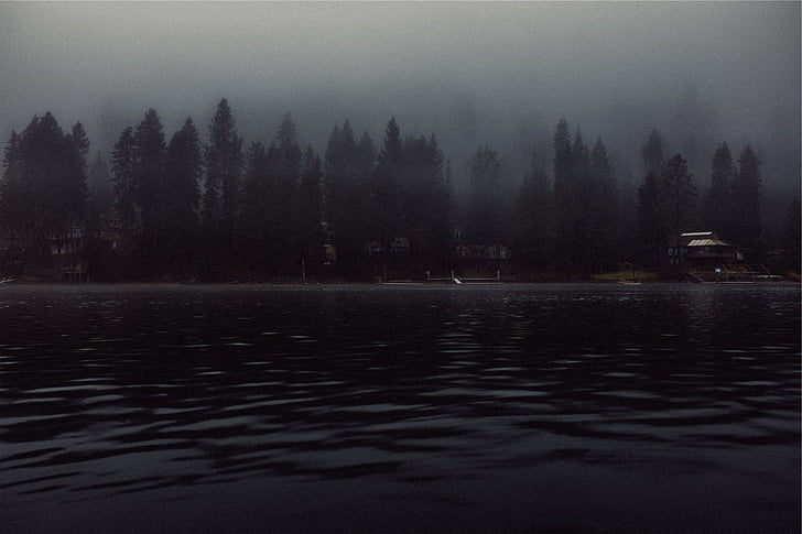 black, body, water, fogs, trees, lake, docks