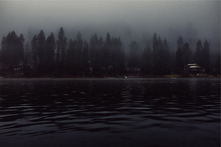 Черно, тяло, вода, мъгли, дървета, езеро, докове