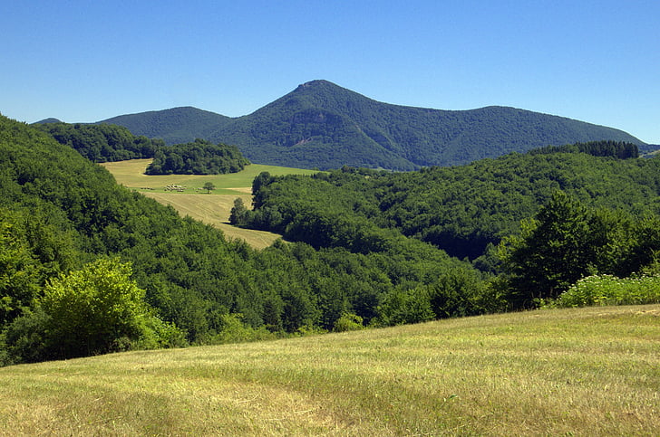 Szlovákia, Klatovy, hegyek, természet, fa, nyári, Hill