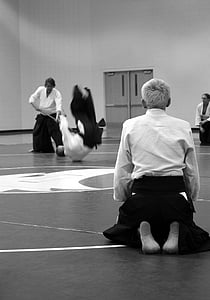 Aikido, kampsport, selvforsvar, læring, Seminar, senseis, trening