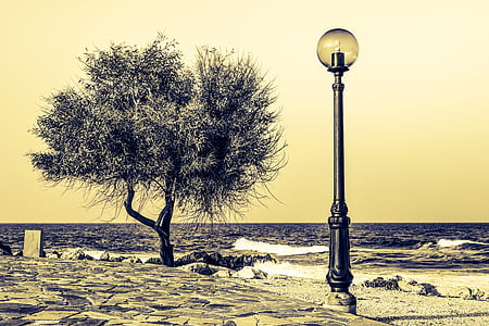 tree, lantern, lamp, sea, waves, scenery, elegance