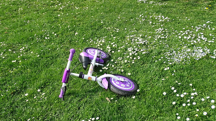 자전거, 잔디, 아이 자전거, bi, 자전거, 야외, 활동