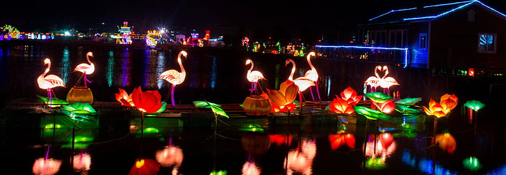 festival de faroles, vista de noche