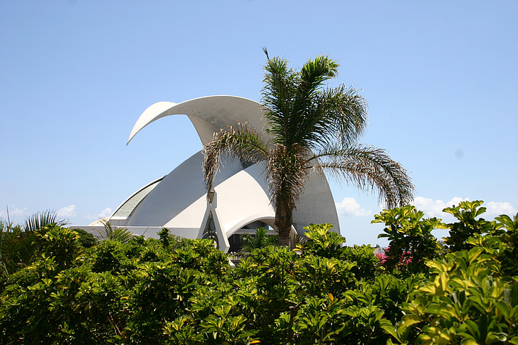 koncertsal, Tenerife, Kanariske Øer, bygning, arkitektur, berømte, Santa cruz