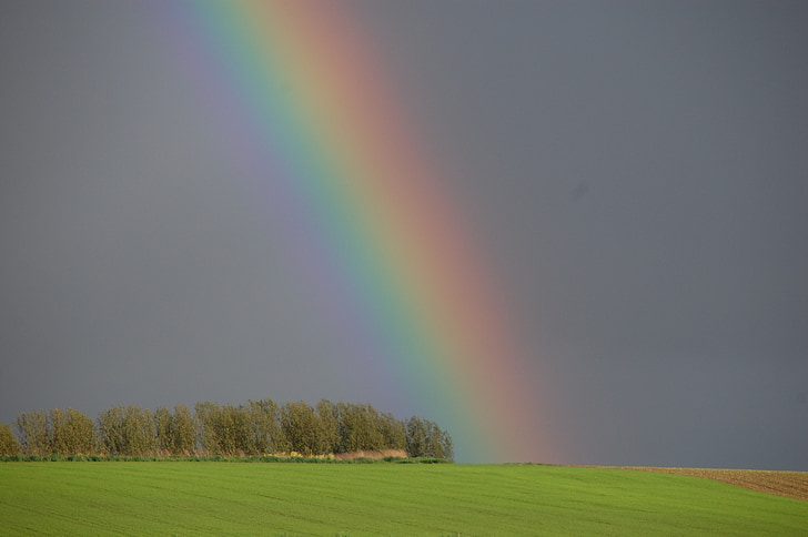 rainbow, nature, horizon, colors, rural Scene, blue, sky