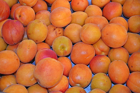 apricot, fruit, food, healthy food, fresh, sweet, lean