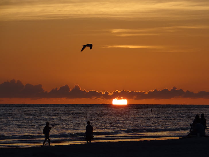 coucher de soleil, Floride, Mouette, ciel du soir, Afterglow, romantique, plage