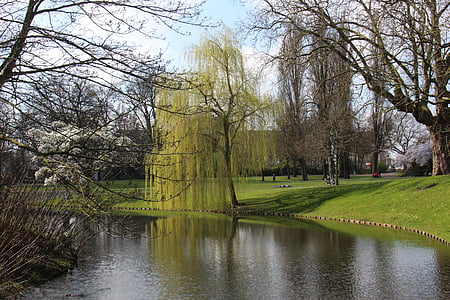 Taman, air, alam, pemandangan, pohon, hijau, Belanda