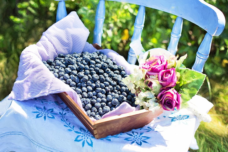 blåbær, Sommer, frukt, sunn, frisk, søt, organisk