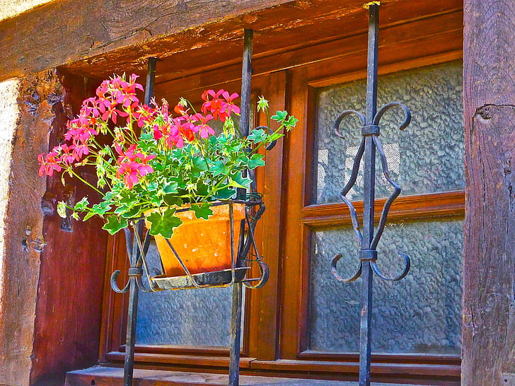 flor, finestra, decoració, floral, RAM, primavera, colors