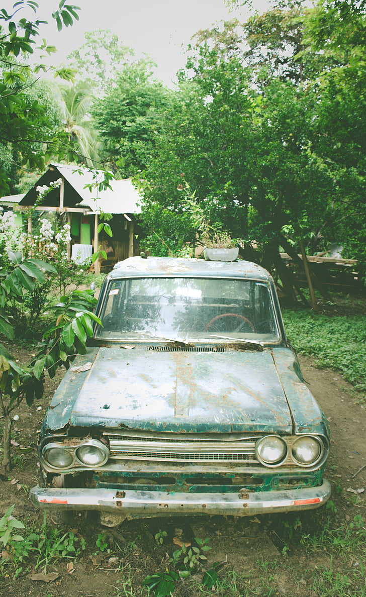 cotxe, oldschool, anyada, trencat, danyat, verd, arbres