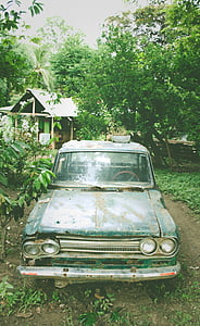 bil, Oldschool, Vintage, brutt, skadet, grønn, trær