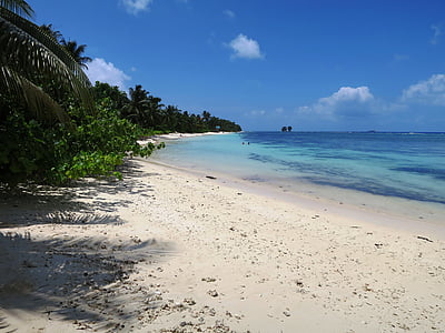 Seyşel Adaları, güzel bir plaj, La dique, Hint Okyanusu, plaj, ada, kum plaj