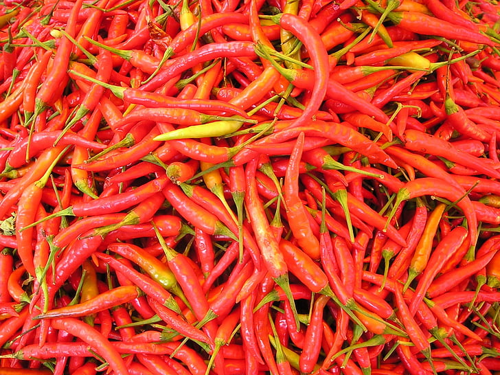 Chili pepper, sostenido, especias, Laos, Chile, caliente, rojo