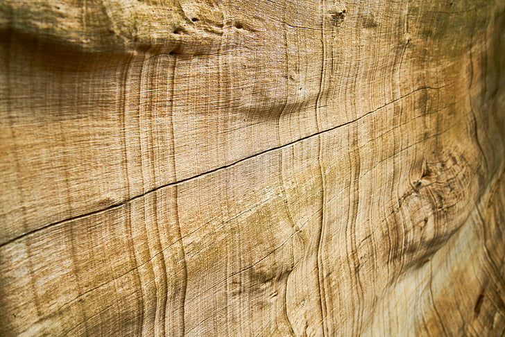 madera, textura, patrón de, marrón, macro, detalle, antiguo