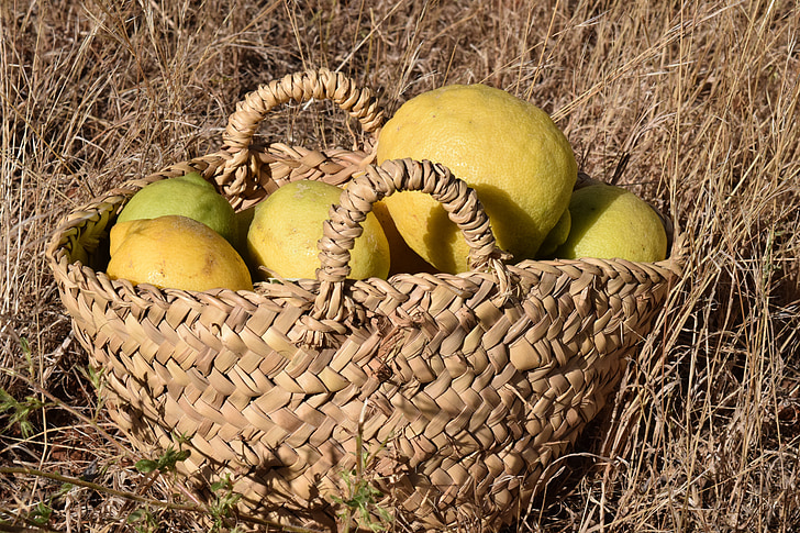 lemons, lemon basket, fruit basket, harvest, lemon harvest, yellow, ripe