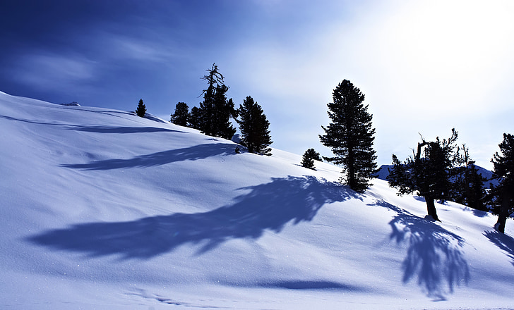 sneg, pozimi, gore, drevo, zimski, sonce, sence