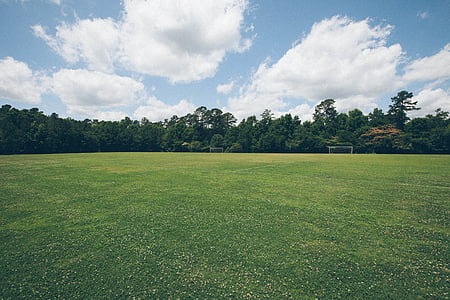 雲, フィールド, 草, 空, スポーツ フィールド, 木, パブリック ドメインの画像
