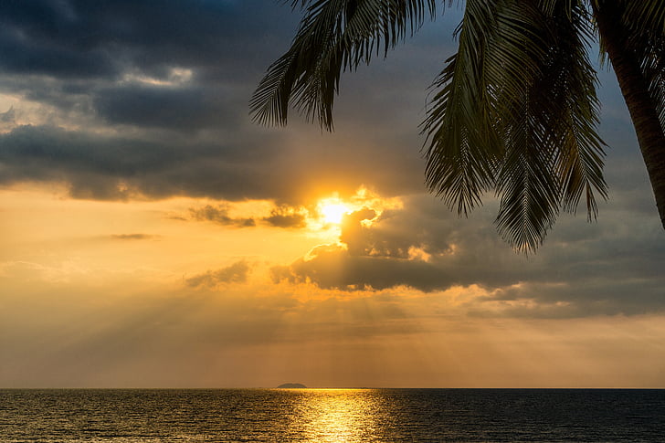 solnedgång, Tropical, Palm, träd, havet, Ocean, resor