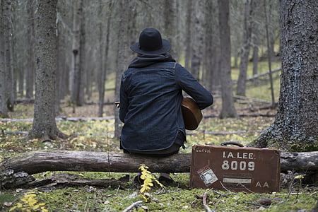 kvinde, sidder, træ, spille, guitar, skov, hat