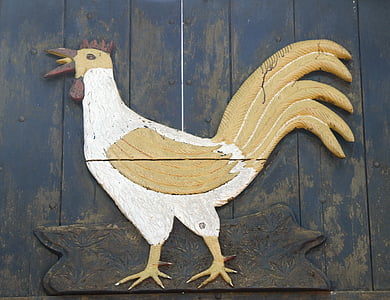 pollo, guarnire, legno, uccello, animale