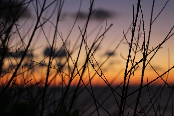 paisatge, natura, posta de sol