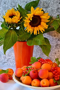 apricots, sunflower, fruit, stone fruit, flowers, sweet, delicious