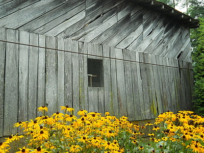 stodola, kvety, krajiny, partia, jeseň, stodola drevo