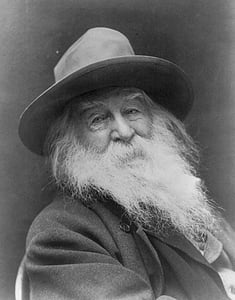 Walt Whitman, Jahrgang, US-amerikanischer Autor, Autor, amerikanische, Retro, Geschichte