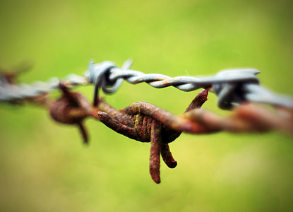 barbed wire, close, wiring, limit, demarcation, fence, pointed