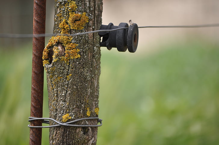 Захранващ кабел, селски, природата