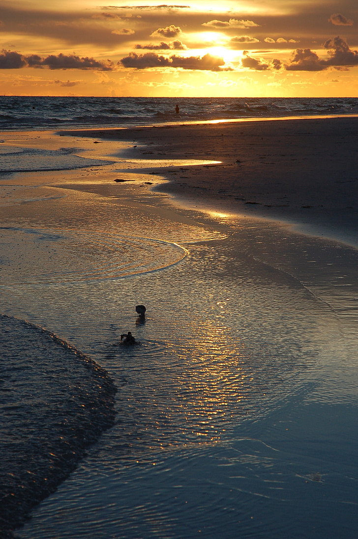 zonsondergang, Siesta key, Florida, strand