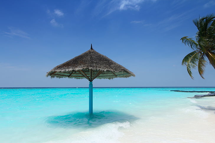 Малдиви, палмови дървета, плаж, лято, слънце, вода, резервирани