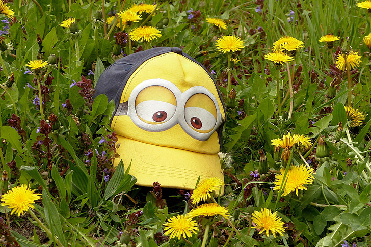 cap, cool, goggles theme, minions, lying between dandelion, lost, forget